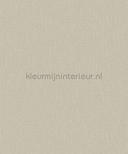 Hookedonwalls Neutralizer 01 31606 | Bestellen bij https://www.kleurmijninterieur.nl/