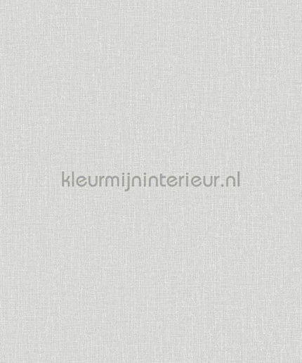 Hookedonwalls Neutralizer 01 31610 | Bestellen bij https://www.kleurmijninterieur.nl/