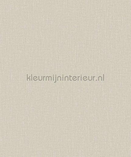 Hookedonwalls Neutralizer 01 31605 | Bestellen bij https://www.kleurmijninterieur.nl/
