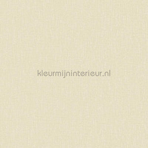 Hookedonwalls Neutralizer 01 31617 | Bestellen bij https://www.kleurmijninterieur.nl/