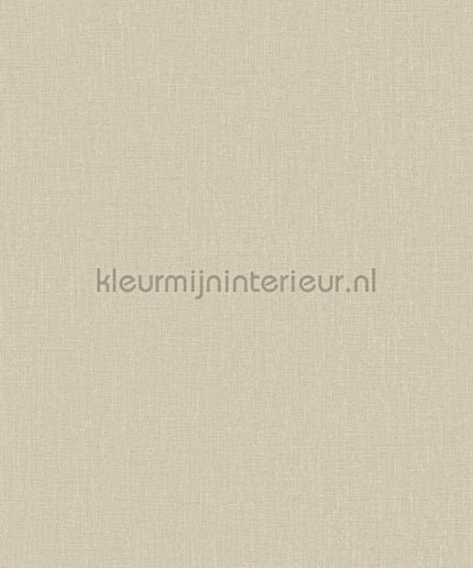 Hookedonwalls Neutralizer 01 31607 | Bestellen bij https://www.kleurmijninterieur.nl/