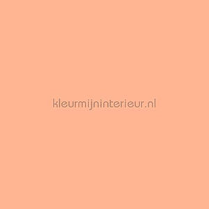 Bodaq Uni s213 | Bestellen bij https://www.kleurmijninterieur.nl/