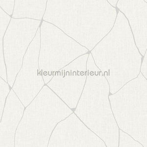 Hookedonwalls New Wave 24835 | Bestellen bij https://www.kleurmijninterieur.nl/