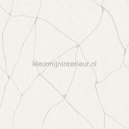 Hookedonwalls New Wave 24835 | Bestellen bij https://www.kleurmijninterieur.nl/
