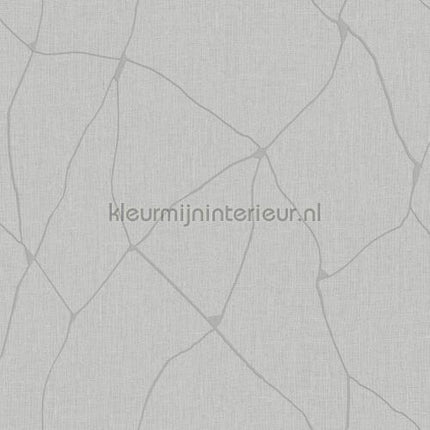 Hookedonwalls New Wave 24836 | Bestellen bij https://www.kleurmijninterieur.nl/