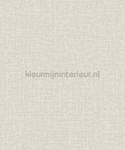 Hookedonwalls Tropical Weave 18857 | Bestellen bij https://www.kleurmijninterieur.nl/