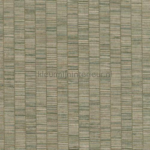 Hookedonwalls Lemuria 60653 | Bestellen bij https://www.kleurmijninterieur.nl/