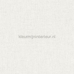 Hookedonwalls New Wave 24849 | Bestellen bij https://www.kleurmijninterieur.nl/