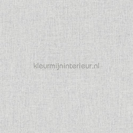 Hookedonwalls New Wave 24850 | Bestellen bij https://www.kleurmijninterieur.nl/