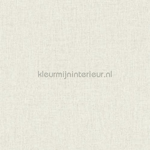Hookedonwalls New Wave 24851 | Bestellen bij https://www.kleurmijninterieur.nl/