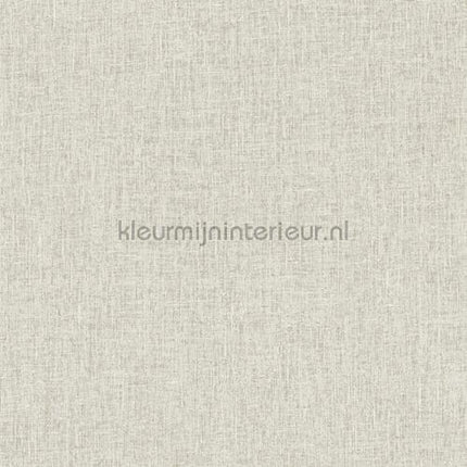 Hookedonwalls New Wave 24852 | Bestellen bij https://www.kleurmijninterieur.nl/