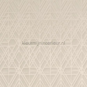 Arte Velveteen 87023 | Bestellen bij https://www.kleurmijninterieur.nl/