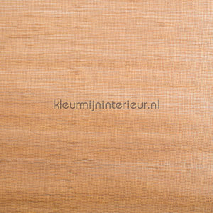 Kleurmijninterieur Natuurlijke-Weefsels GPW-R-238 | Bestellen bij https://www.kleurmijninterieur.nl/