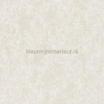 Versace wallpaper Versace 3 349034 | Bestellen bij https://www.kleurmijninterieur.nl/