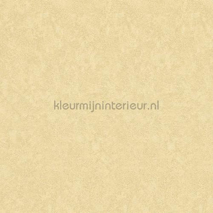 Versace wallpaper Versace 3 935821 | Bestellen bij https://www.kleurmijninterieur.nl/