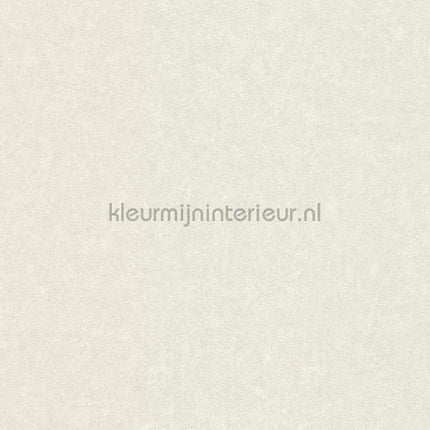 Versace wallpaper Versace 3 935822 | Bestellen bij https://www.kleurmijninterieur.nl/