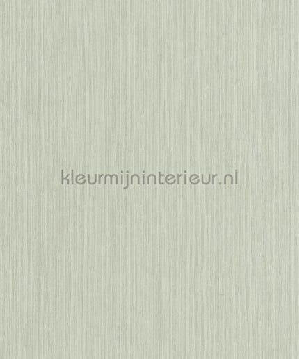 Casadeco Fiber FIBR82397387 | Bestellen bij https://www.kleurmijninterieur.nl/