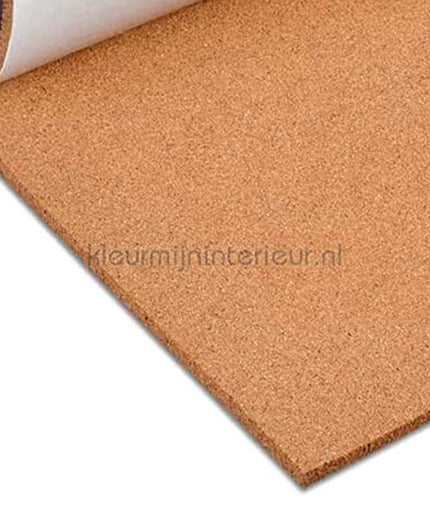Noordwand Wandkurk 2094 | Bestellen bij https://www.kleurmijninterieur.nl/