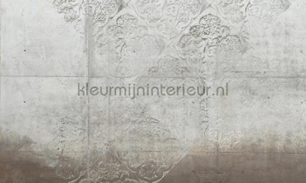 Noordwand Vanilla Lime 14230 | Bestellen bij https://www.kleurmijninterieur.nl/
