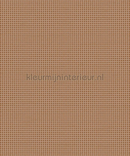 Dutch Wallcoverings Tapestry TP422604 | Bestellen bij https://www.kleurmijninterieur.nl/