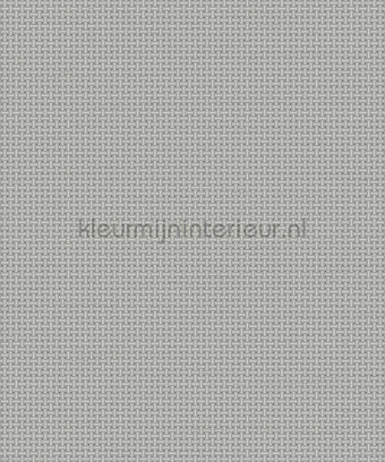 Dutch Wallcoverings Tapestry TP422605 | Bestellen bij https://www.kleurmijninterieur.nl/