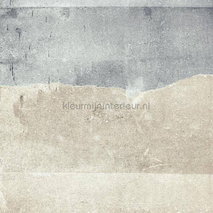Eijffinger Wallpower Favourites 309041 | Bestellen bij https://www.kleurmijninterieur.nl/