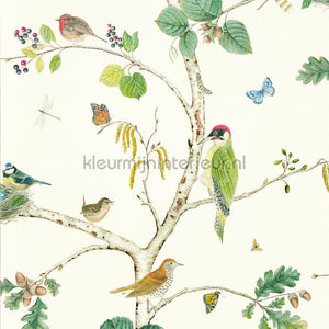 Sanderson Arboretum DABW217230 | Bestellen bij https://www.kleurmijninterieur.nl/
