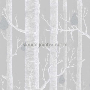 Cole and Son Contemporary Restyled 95-5029 | Bestellen bij https://www.kleurmijninterieur.nl/