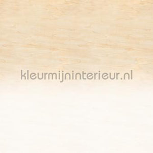 AS Creation Walls by Patel 3 DD122632 | Bestellen bij https://www.kleurmijninterieur.nl/