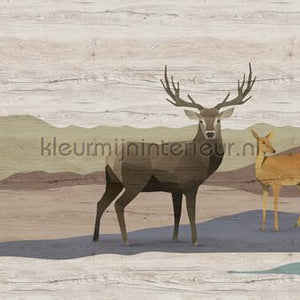 AS Creation Walls by Patel 3 DD122896 | Bestellen bij https://www.kleurmijninterieur.nl/