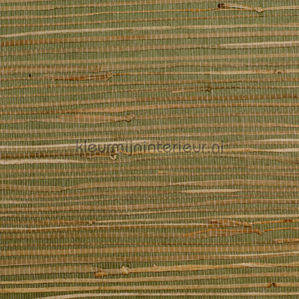 Rodeka Savanna 50-008 | Bestellen bij https://www.kleurmijninterieur.nl/