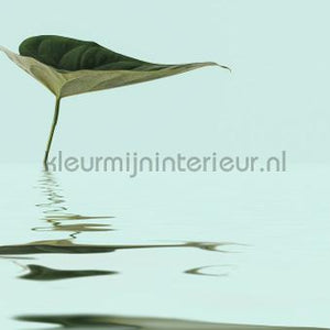 Livingwalls ARTist dd119789 | Bestellen bij https://www.kleurmijninterieur.nl/