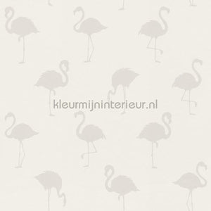 Esta for Kids Little Bandits 138917 | Bestellen bij https://www.kleurmijninterieur.nl/