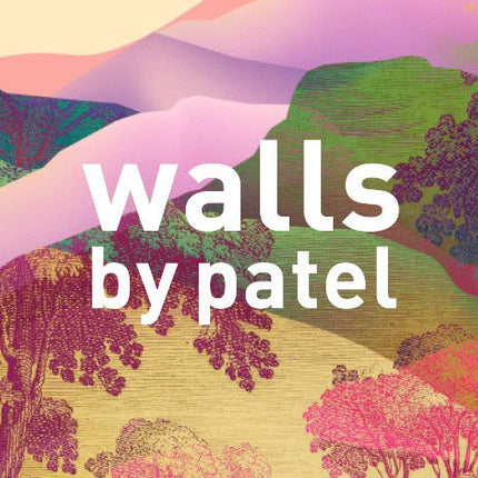 Collection image for: Walls by Patel 3