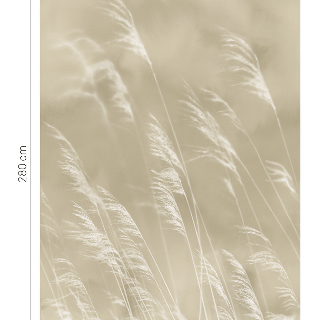 Eijffinger Waterfront 300900 | Bestellen bij https://www.kleurmijninterieur.nl/