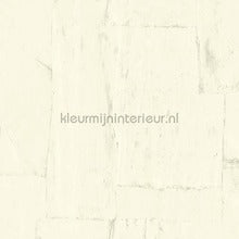 Arte Sculptura 42547 | Bestellen bij https://www.kleurmijninterieur.nl/