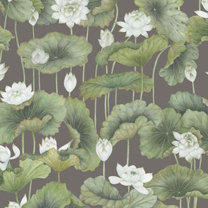 126-9033 Cole & Son Shinrin Yoku Lily Lotus White on Charcoal