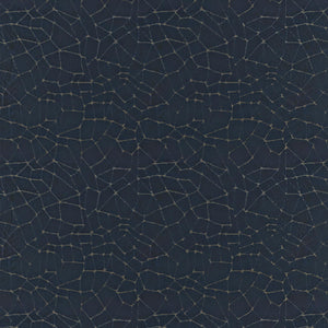 DWC-luxe-velvet-wall-textile-Grunge-14