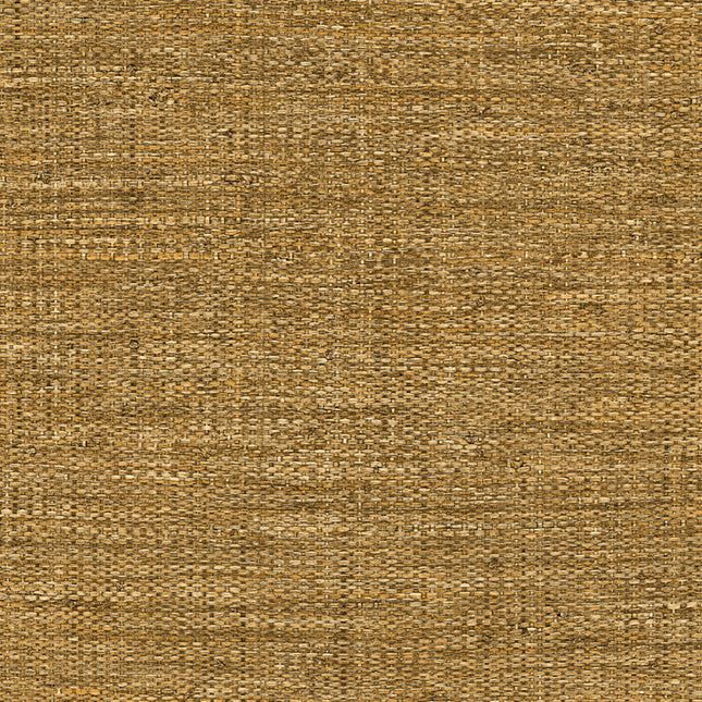 14624 | kleurmijninterieur