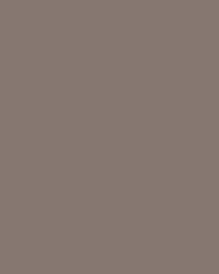 200-3236 DC-Fix Plakfolie Uni taupe hoogglans 45cm breed