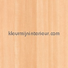 DC-Fix  2002608 | Bestellen bij https://www.kleurmijninterieur.nl/