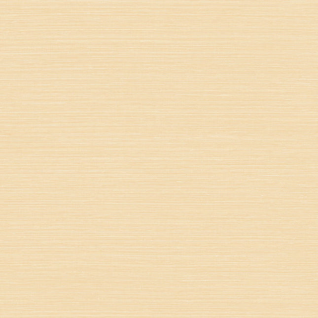 Schelp | kleurmijninterieur