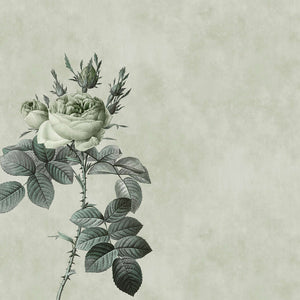 Livingwalls Walls by Patel DD110746 official high-resolution product image