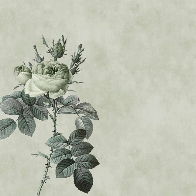 Livingwalls Walls by Patel DD110746 official high-resolution product image