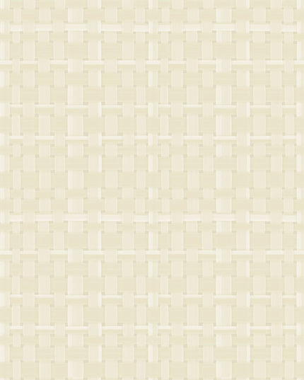 31576 Arte Textura Weave Latte