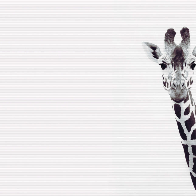 Livingwalls ARTist DD119817 official high-resolution product image
