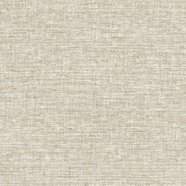 40545 Arte Textura Aspero Mushroom