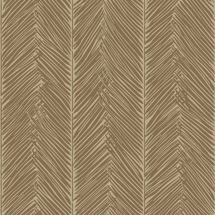 Collection image for: Yala