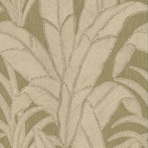 64500 Arte Manila Botanic Hay