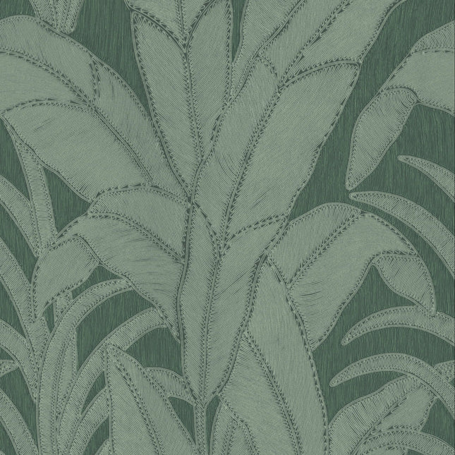 64504 Arte Manila Botanic Pine